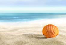 雄狮打算解锁美因茨主场之谜