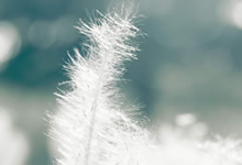 巴黎圣日耳曼迎接新赛季挑战