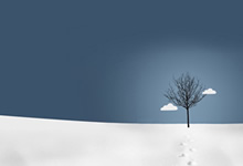 挪威队英姿飒爽，欧锦赛乘风破浪