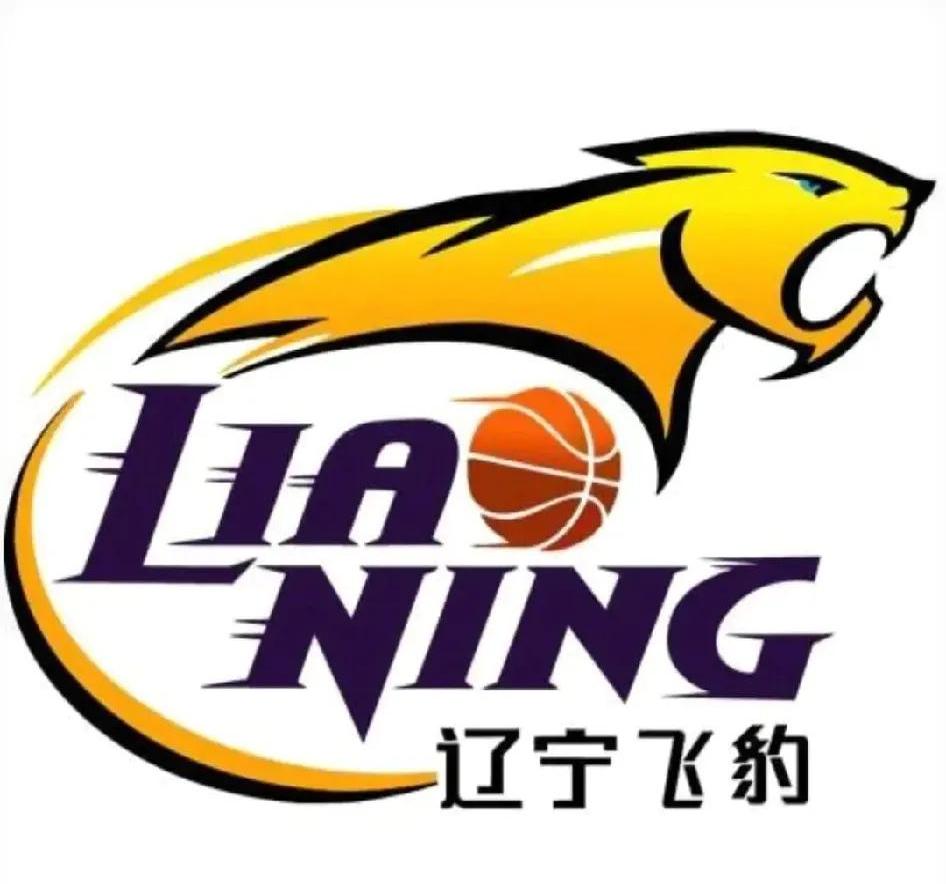 热血对决！广东大战辽宁，胜利之路谁能突破？的简单介绍